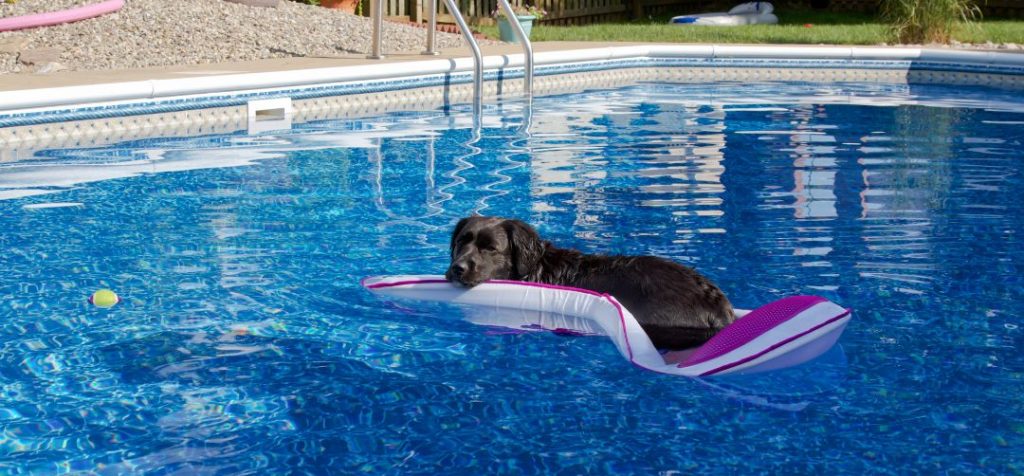 Balnearios En San Luis Del Palmar