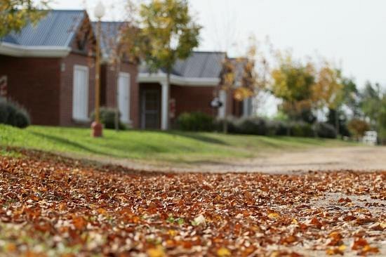 Balnearios En Villaguay