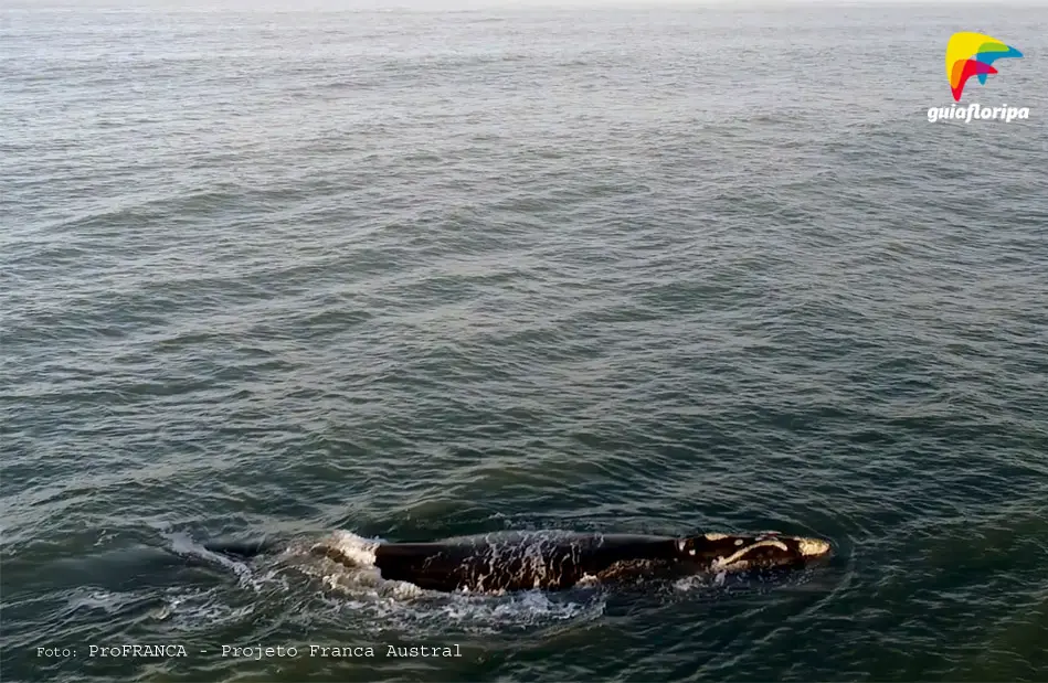 Playa Lucila Del Mar
